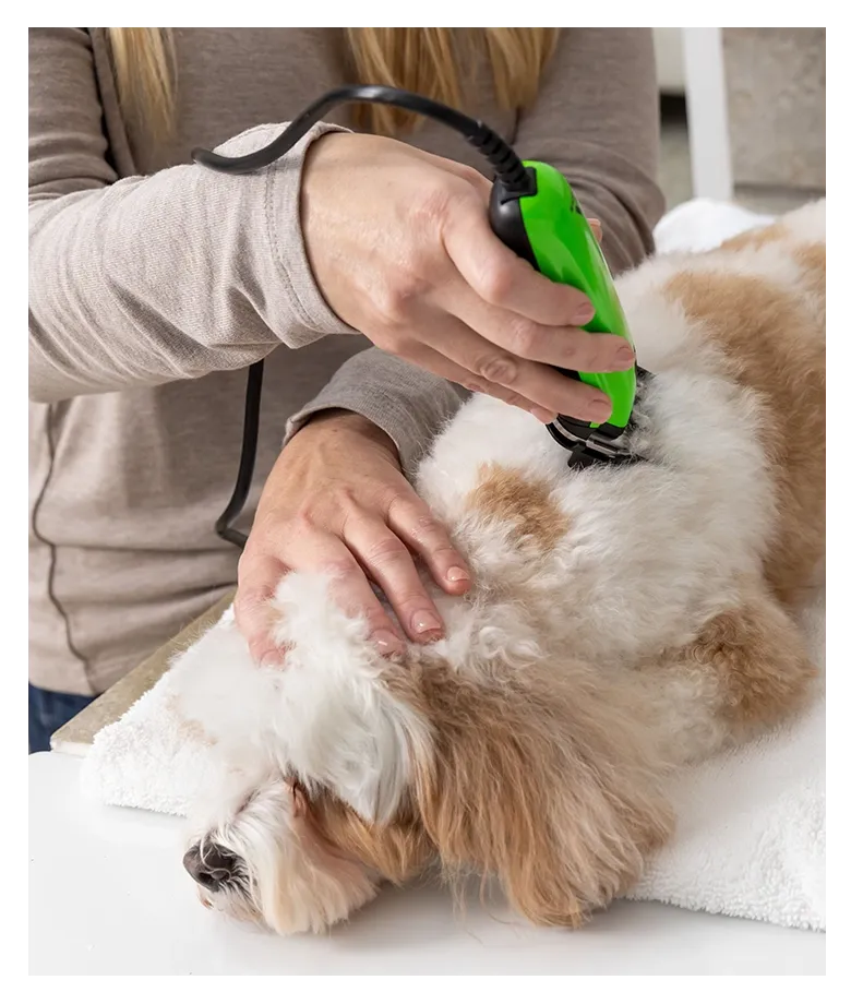 Thumbnail 563035 Easy Clip Versa Clipper Green